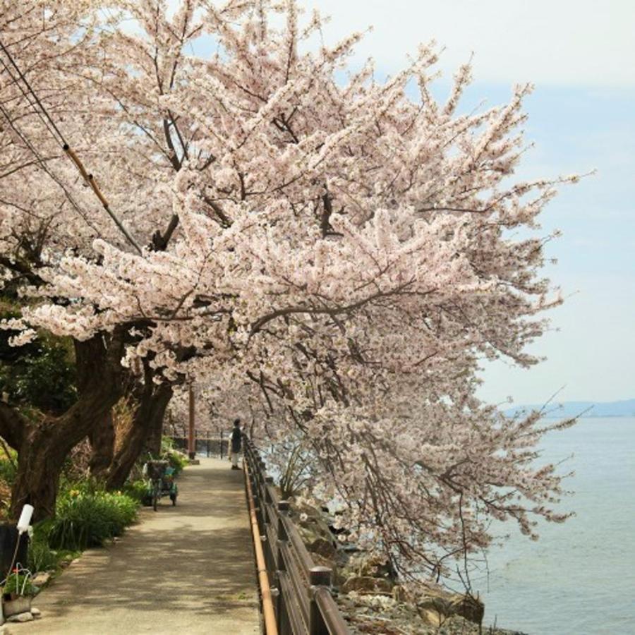 Kyukamura Ohmi-Hachiman Omihachiman Exterior photo
